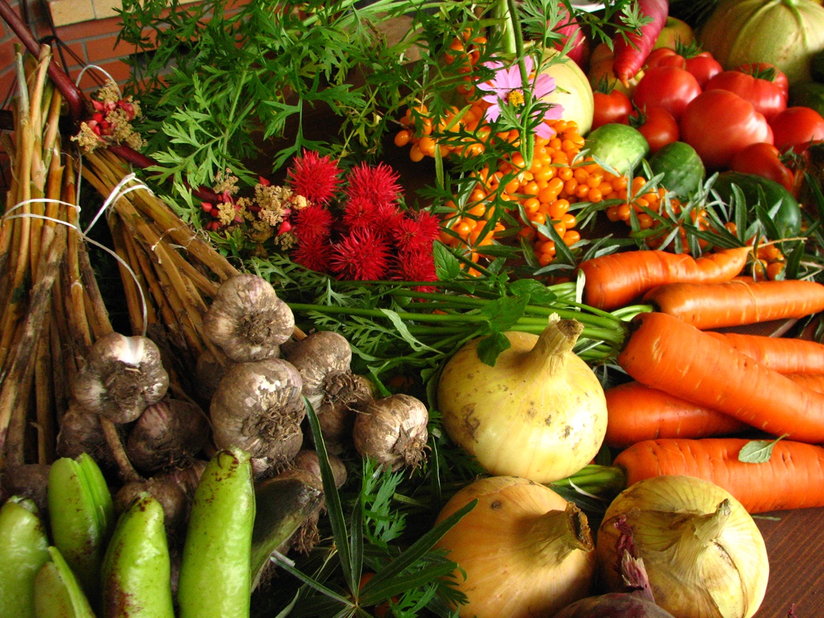 Ecologically grown vegetables. Photo by Elina Mark, Wikimedia Commons.