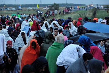 Refugees await crossing from Hungary into Austria. Photo © UNHCR/Mark Henley Refugees await crossing from Hungary into Austria. Photo © UNHCR/Mark Henley