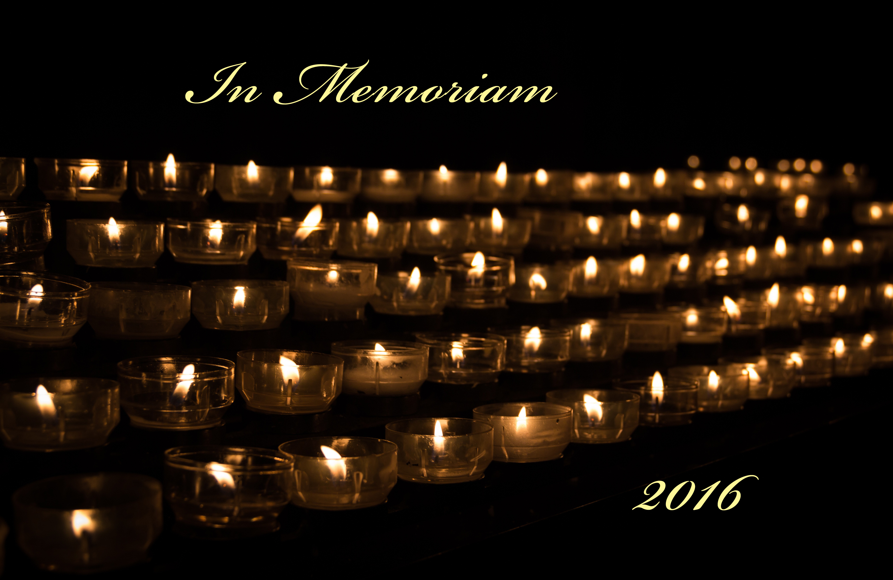 United Methodists this year marked the passing of multiple fellow churchgoers who put their faith into action. Photo by Niek Verlaan, courtesy of Pixabay
