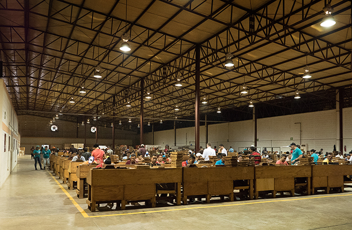 Bunchers and rollers sit side by side in teams of two in a large warehouse at the Tabacos de Oriente cigar factory in Danlí, Honduras. Photo By Kathy L. Gilbert, UMNS.