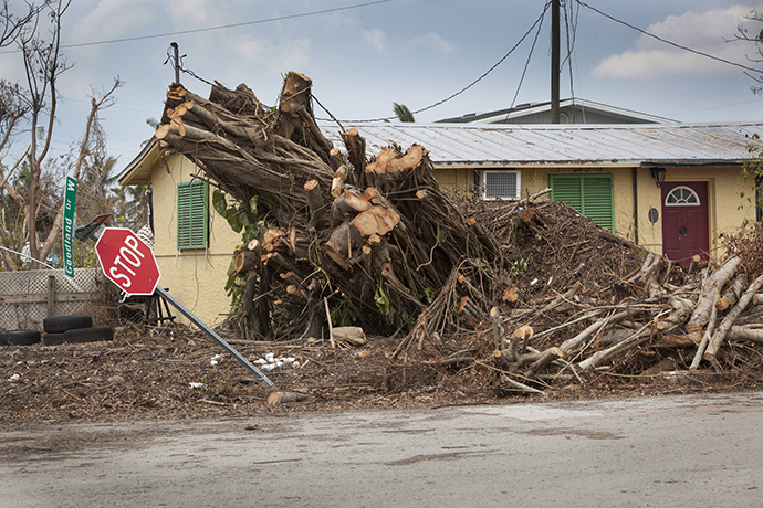 Piles of cut wood (photo on left) are all that remain of a large tree that fell when Hurricane Irma moved through Goodland, Fla. Photo by Kathleen Barry, UMNS.