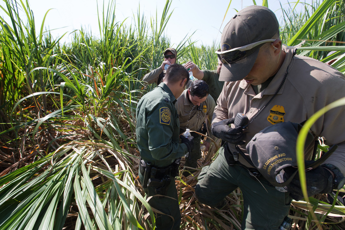 U.S. Border Patrol agents pour water over the head of a fellow agent who became overheated while searching a sugarcane field for a group of people who had entered the United States illegally. The high temperature for the day was 100 degrees. Photo by Mike DuBose, UMNS.