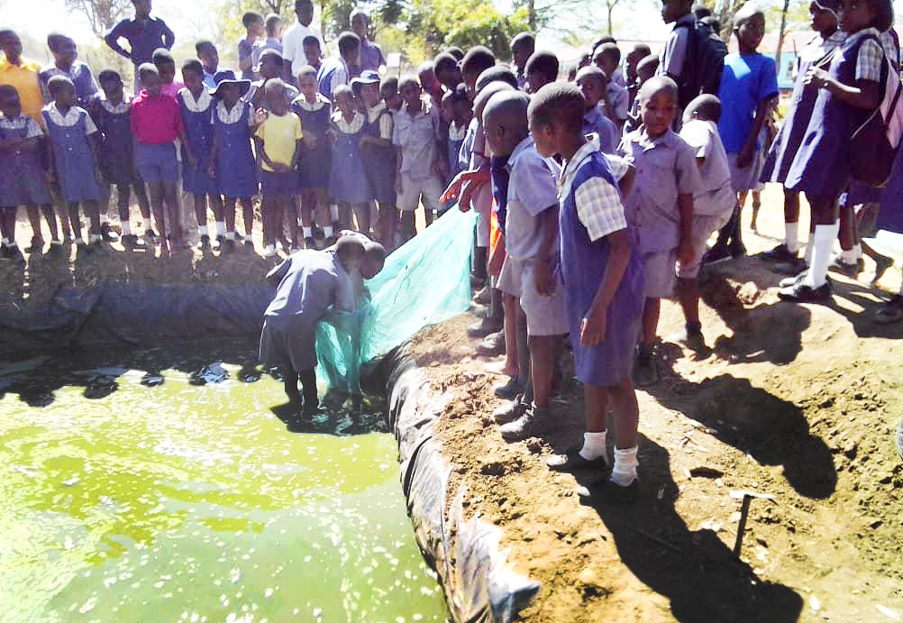 Students from Nyadire Primary School harvest fish at The United Methodist Church’s Nyadire Mission in Zimbabwe. The children are learning how to run a fish-breeding business as part of a school project in agriculture. Photo by Chenayi Kumuterera.