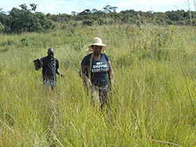 Zimbabwe missionary, Lorraine Charinda, and Yelesani Shachobe, an irrigation technician, look for a new site to install an irrigation system at Kamisamba Farm in North Katanga, Congo. Photo courtesy of Lorraine Charinda.