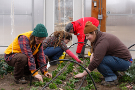 Students at Green Mountain College in Poultney, Vt., work in a campus garden in 2012. The United Methodist-related college announced in January that it would close some time after the 2019 spring semester, also because of financial issues. File photo courtesy of Green Mountain College.