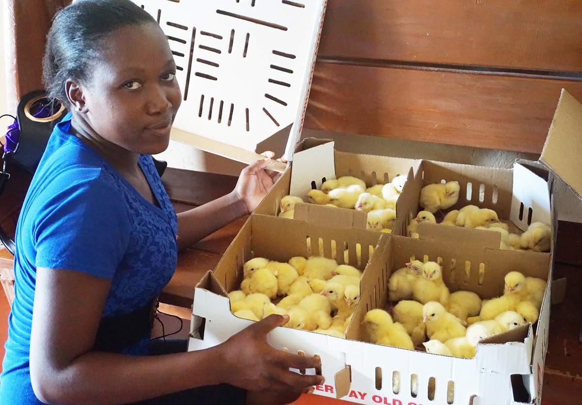 Tendai Musandaka, 20, holds a box of chicks that she and other women and girls will raise to generate income in Marange, Zimbabwe, which has been affected by drought. The farming program is led by The United Methodist Church’s Ministry with Women, Youth and Children and funded by the United Methodist Committee on Relief. Photo by Kudzai Chingwe, UMNS.