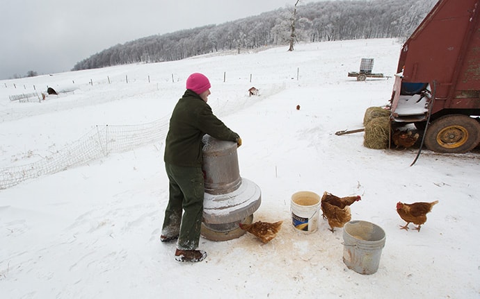 Andy, a recovering addict, feeds chickens at Brookside Farm, part of the Jacob's Ladder rehabilitation program in Aurora, W.Va. Photo by Mike DuBose, UMNS.