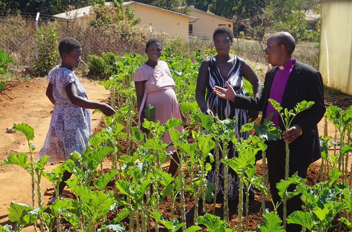 Expectant mothers give Bishop Eben K. Nhiwatiwa a tour of the vegetable garden they are tending at the Old Mutare Mission Hospital in Mutare, Zimbabwe. The garden provides nutrition, exercise and an opportunity to learn skills they can use when they return home after delivering their babies. From left are: Resistance Maphosa, Marvellous Chimbidzikai and Sophia Chindondondo. Photo by Kudzai Chingwe, UM News.