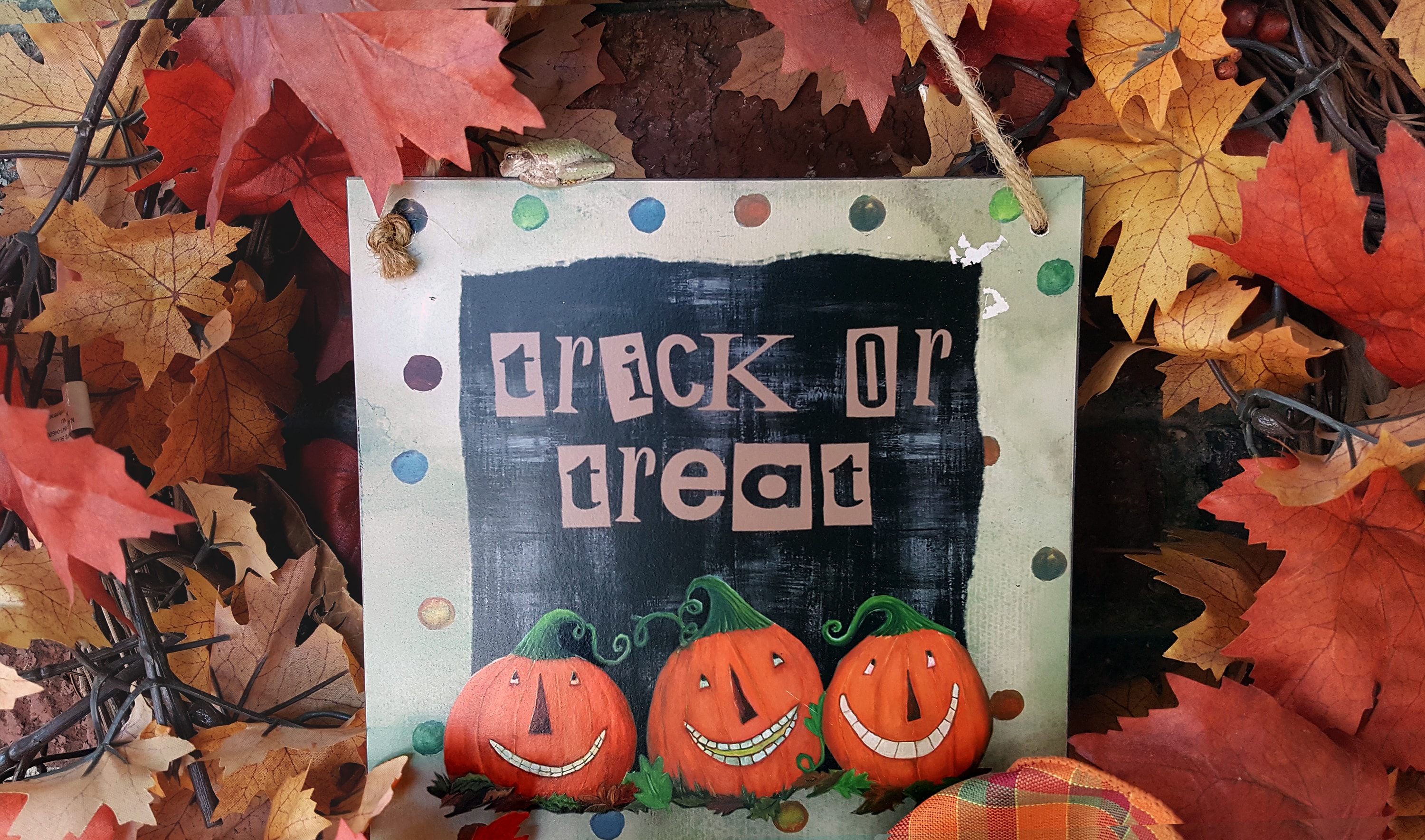 사진, 로렌스 글래스, 연합감리교뉴스.