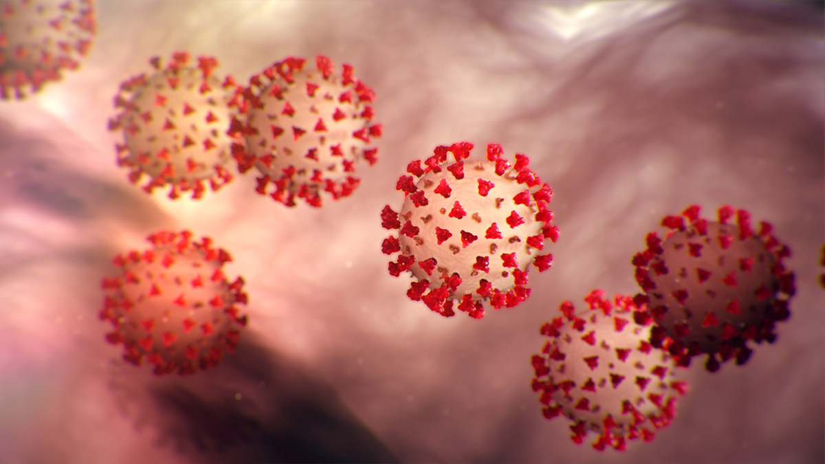 Imagem de microscópio eletrônico de um paciente dos EUA em quarentena por COVID-19. As igrejas Metodistas Unidas na área de Seattle foram afetadas pelo surto de coronavírus. Imagem cortesia do Center for Disease Control and Prevention.