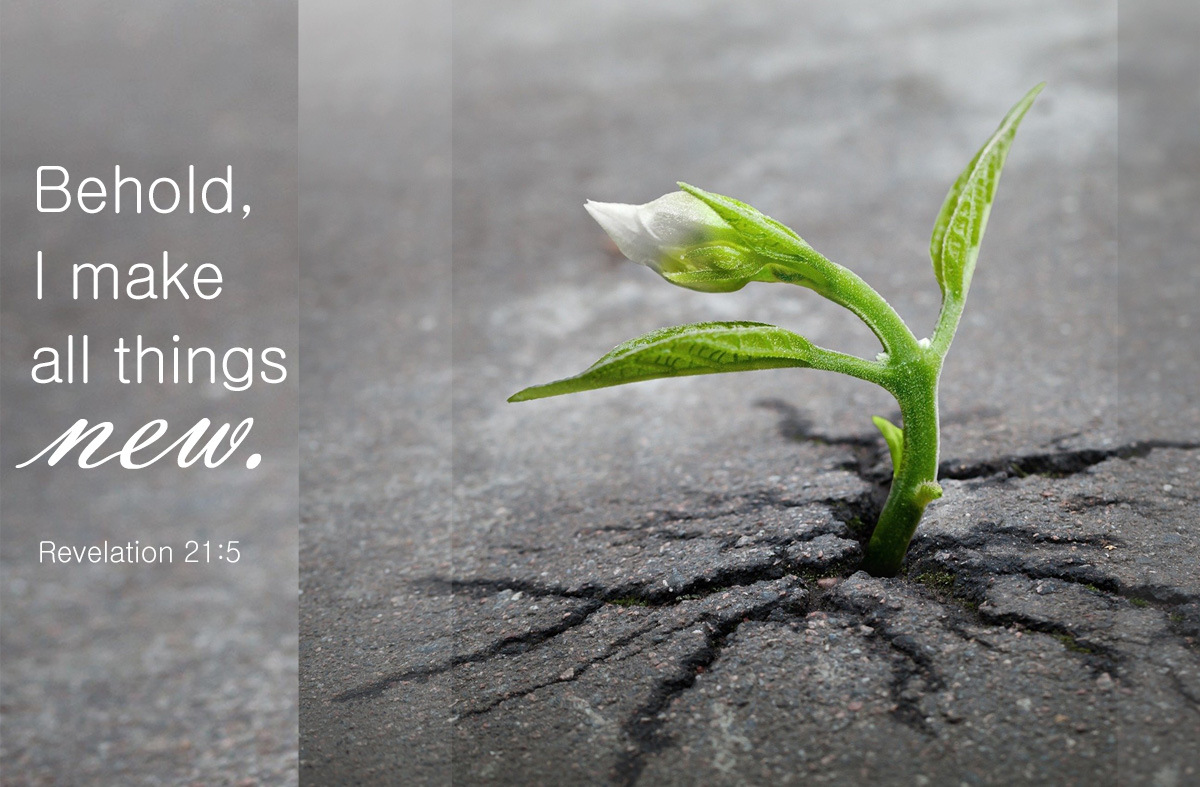 Photo by skeeze, courtesy of pixabay.com; graphic by Laurens Glass, United Methodist Communications