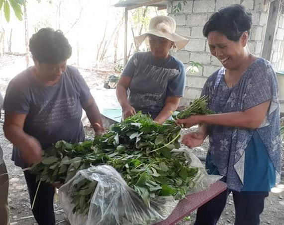 The Tawid Buhay Project, a ministry of the North East Central Luzon District, distributes vegetables to people in need, including United Methodist church volunteers and frontline workers at quarantine control points. Photo courtesy of the Rev. Feliciano M. Biasbas.