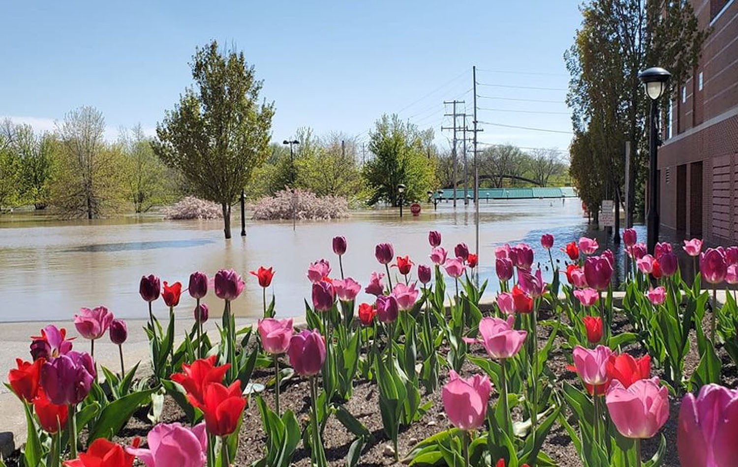 Vista de la inundación en la parte posterior de la Primera Iglesia Metodista Unida Midland en el estado de Michigan. Foto cortesía de la Primera IMU Midland.