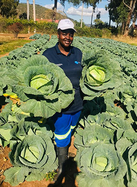 The Rev. Tafadzwa Musona, Mutasa Nyanga District superintendent, displays some of the 2,000 cabbages and other produce she sells to supermarkets in Mutare, Zimbabwe. Photo by Kudzai Chingwe, UM News.