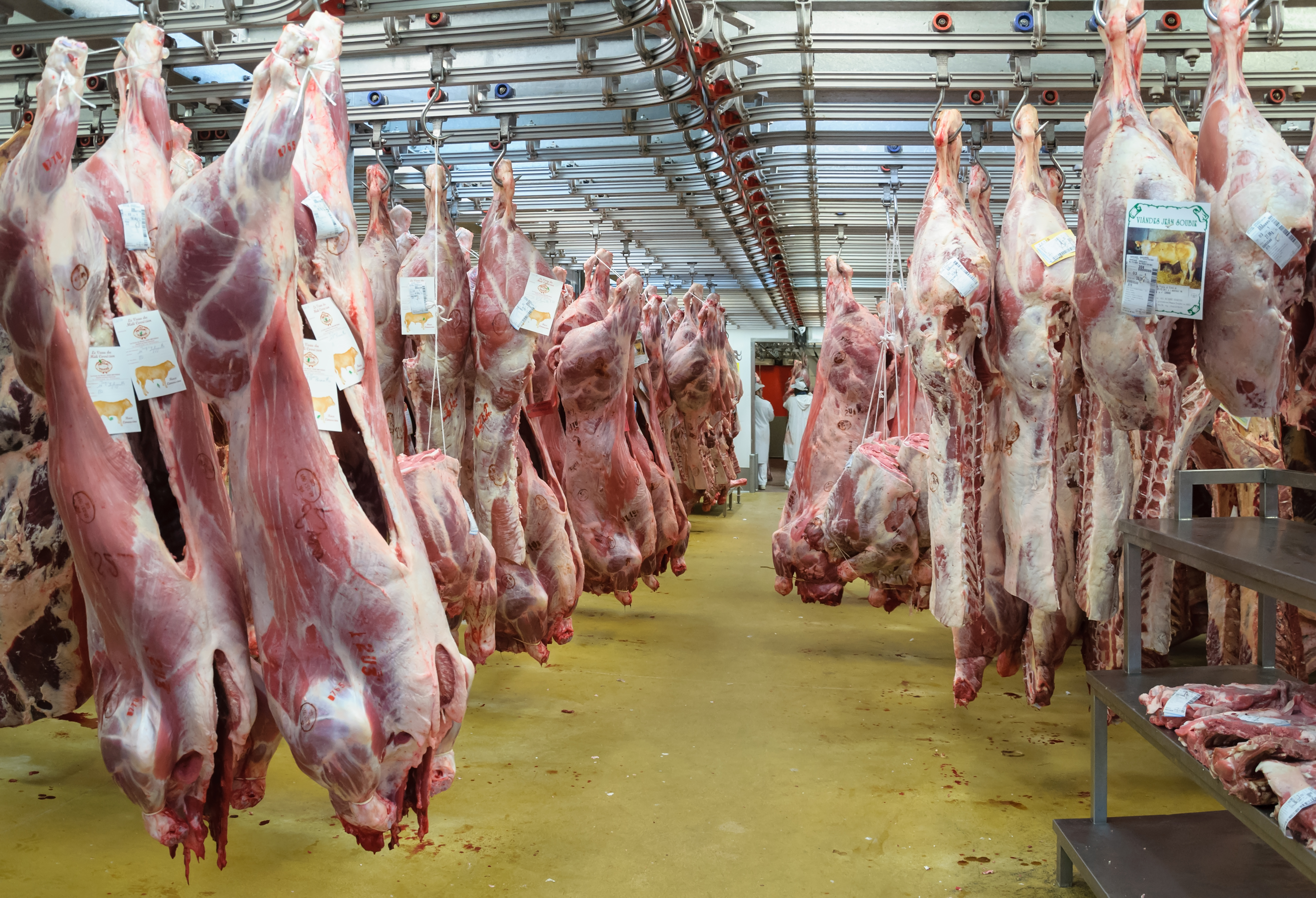De acuerdo al Centro de Enfermedades Contagiosas (CDC por sus siglas en inglés) , más de 16,000 trabajadores en 239 plantas de carne se contagiaron de COVID-19 en los sexis primeros meses de 2020. De esta cifra más de la mitad de los/as trabajadores/as infectados/as son latinos/as. Foto cortesía de Wikipedia.
