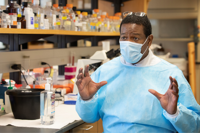 Donald Alcendor works in his lab at Meharry Medical College in Nashville, Tenn., to develop an antiviral drug to combat COVID-19. Alcendor is an associate professor of microbiology and immunology at the school. Photo by Mike DuBose, UM News.