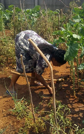  The Rev. Annie Zvingowaniseyi, associate pastor at Harare Innercity United Methodist Church, works in her garden at her home. She said she turned to gardening and meditation as a way to destress during the pandemic. Photo by Chenayi Kumuterera, UM News.