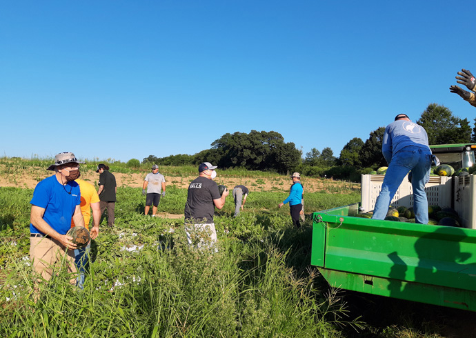 Volunteers, including a group from DPR Construction, “toss” watermelons to get them from the field to the wagon at Barbee Farms in North Carolina. Photo courtesy of the Rev. Michael Binger, North Carolina regional director of the Society of St. Andrew.