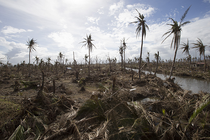 Palm trees stand stripped of their fronds after Typhoon Haiyan laid waste to vast areas near Tanauan, Philippines, in 2013. When considering how to pay for cutting greenhouse gas emissions, it should be noted that a high price is already being paid for climate change, said the Rev. Jenny Phillips, senior technical advisor for environmental sustainability at Global Ministries. File photo by Mike DuBose, UM News.