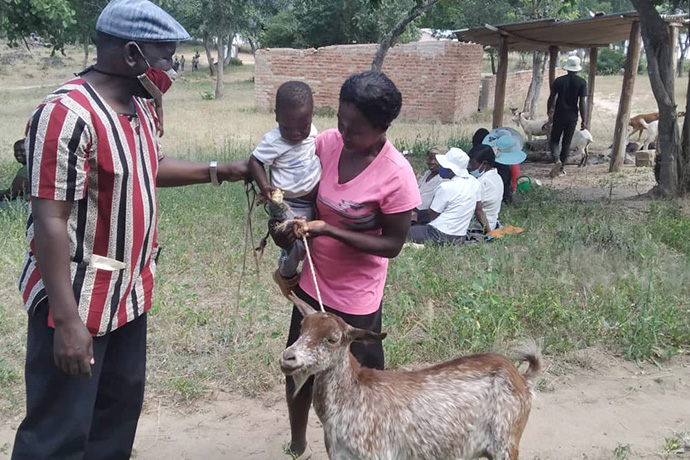 Anoziva  Sisimayi and her son Kudzai Gombakomba receive a goat from the Rev. Austern Chepiri in Mujaji, Zimbabwe. A goat breeding program sponsored by the Western Pennsylvania Conference of The United Methodist Church has helped more than 100 orphans and vulnerable children in Zimbabwe. Photo by Pastor Hillary Mukahanana.