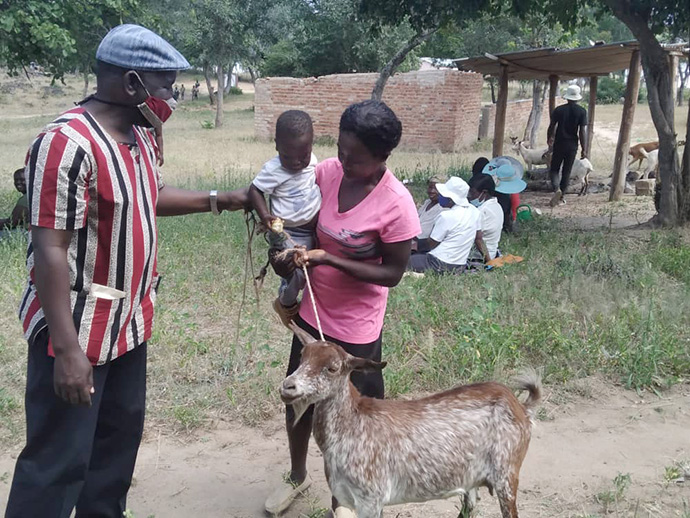 Anoziva  Sisimayi and her son Kudzai Gombakomba receive a goat from the Rev. Austern Chepiri in Mujaji, Zimbabwe. A goat breeding program sponsored by the Western Pennsylvania Conference of The United Methodist Church has helped more than 100 orphans and vulnerable children in Zimbabwe. Photo by Pastor Hillary Mukahanana.