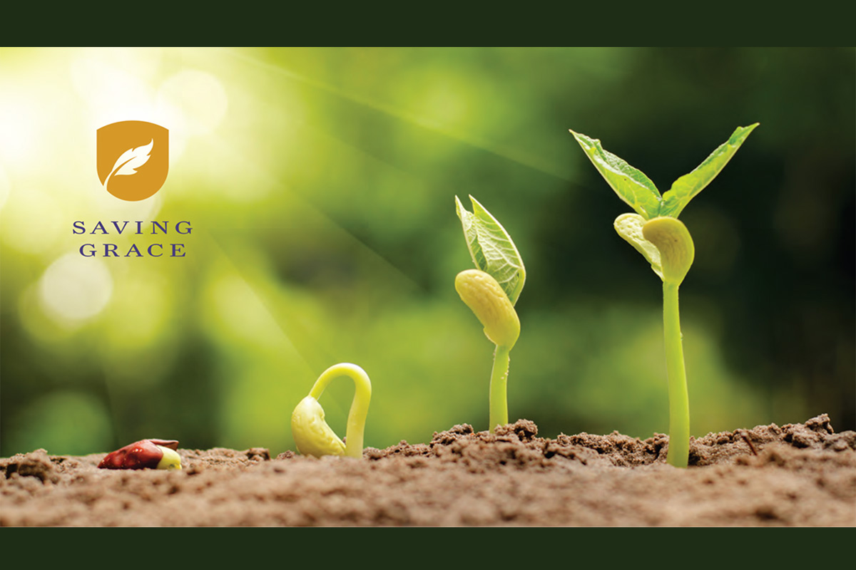 <세이빙그레이스> 프로그램은 목회자와 평신도 그리고 교인들에게 웨슬리의 신앙에 기초한 재정 관리 방식을 제공한다. 이미지 제공, 연합감리교회 출판부의 아빙돈 출판사.