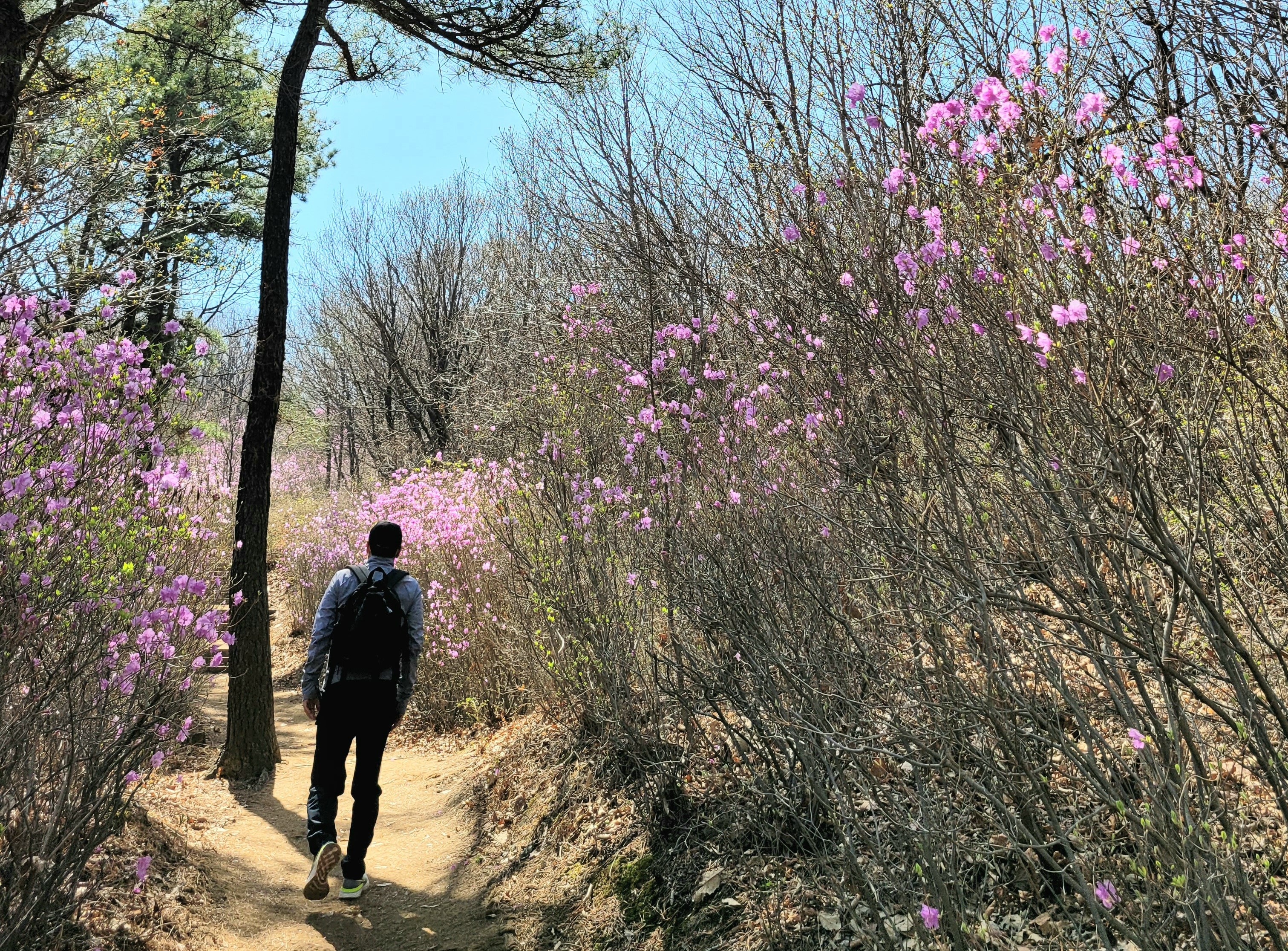 “추운 겨울 다 지내고, 꽃 필 차례가 바로 그대 앞에 있다.”라고 노래한 김종해 시인의 시를 인용한 권혁인 목사는 새로운 변화를 맞이하게 될 시대의 도전에 적극적으로 대처하는 교회의 모습을 기대했다. 지난해 새봄을 맞이해, 서울 근교의 청계산을 걷는 모습. 사진, 김응선 목사, 연합감리교뉴스. 