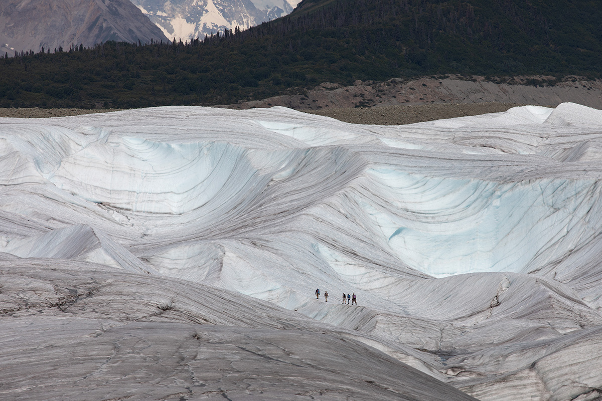 Os caminhantes atravessam a geleira Kennicott, perto de McCarthy, no Alasca, em 2021. Os cientistas dizem que as geleiras em todo o mundo devem perder de 18% a 36% de sua massa até 2100, resultando em quase 10 polegadas de aumento do nível do mar. Foto por Mike DuBose, Notícias MU.