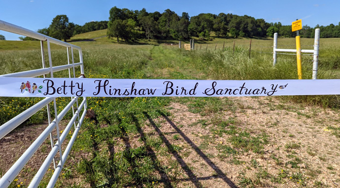 The Betty Hinshaw Bird Sanctuary is the first donation to the Northwest Arkansas Land Trust that’s specifically for bird conversation. The trust plans to return the pastureland to native grasses in the interest of threatened grassland bird species. Photo courtesy the Rev. Andrew Thompson.