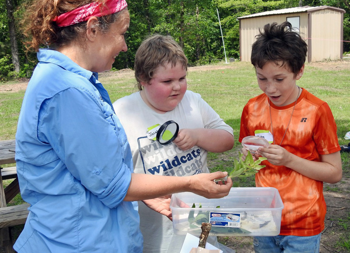 Camp director Ashlea Mattoon enjoys showing Jacob Lewis (left) and Kaden Langford a monarch butterfly larva chomping on milkweed. The boys spent May 19 at a day camp near Paris, Texas, operated by Cultiv8 Community. The Rev. Rob Spencer started that nonprofit, and its goals include getting kids out into nature. Photo by Sam Hodges, UM News.