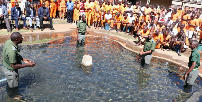Quatro capelães estão em uma piscina de água esperando para imergir os presos na Prisão de Segurança Máxima de Chikurubi, em Harare, Zimbábue, em 28 de julho. Os capelães, a partir da esquerda, são Mwero Bonface, Walter Chiramba, Jefat Zhou e Emmanuel Mashawi. Foto de Prudence Choto, Prisão de Segurança Máxima de Chikurubi. 