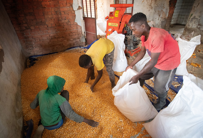 Workers fill a bag with dried corn at the farm at the United Methodist Quéssua Mission near Malanje, Angola. From left are: Antonio Francisco, Miguel Zuá and João Dange. Photo by Mike DuBose, UM News.