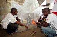 Des volontaires sierra-léonais de la campagne Imagine No Malaria rendent visite à un petit enfant du village de Koribondo, près de Bo, en Sierra Leone, après avoir installé une nouvelle moustiquaire dans sa maison. Photo d'archive 2010 par Mike DuBose, UM News.