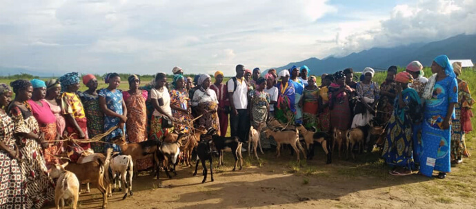 Des femmes reçoivent des chèvres pour l'élevage dans la région de Uvira, sur le Haut-Plateau du Congo. Dans le cadre de son engagement en faveur de la paix et du développement durable dans l'Est du Congo, l'Église Méthodiste Unie fournit des chèvres pour renforcer la sécurité alimentaire et l'autonomisation des femmes. L'initiative est soutenue par Connexio Suisse, le réseau de mission et de diaconie de l'Eglise Évangélique méthodiste. Photo par Philippe Kituka Lolonga, UM News.