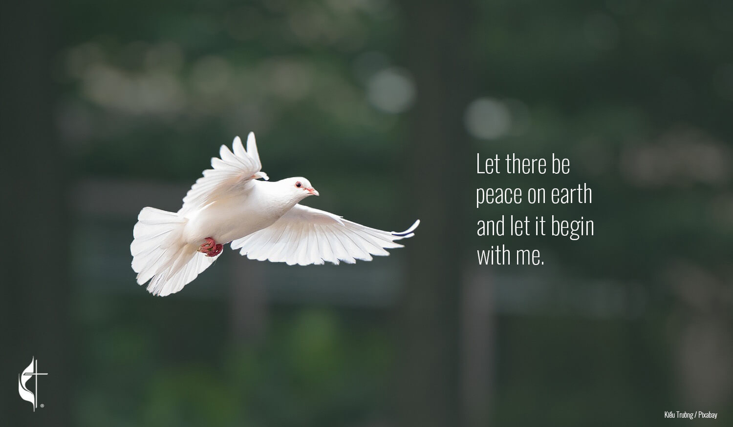 United Methodist leaders are calling for peacemaking in the aftermath of an assassination attempt on current presidential candidate and former President Donald Trump. Photo by Kiều Trường, courtesy of Pixabay; graphic by Laurens Glass, UM News.