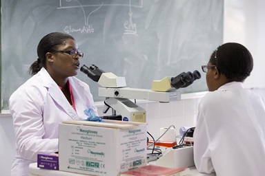 An instructor and student share a teaching microscope at Africa University in Mutare, Zimbabwe, in 2017. File photo by Mike DuBose, UM News. An instructor and student share a teaching microscope at Africa University in Mutare, Zimbabwe, in 2017. File photo by Mike DuBose, UM News.