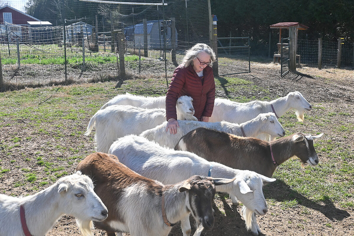 The Rev. Elaine A. Heath, a United Methodist elder and founder and “abbess” of Spring Forest, visits a herd of goats at the “intentional faith community” in Hillsborough, N.C. Spring Forest combines elements of monasteries and nunneries, regenerative farming, communes, churches and small businesses. Photo by Jim Patterson, UM News.