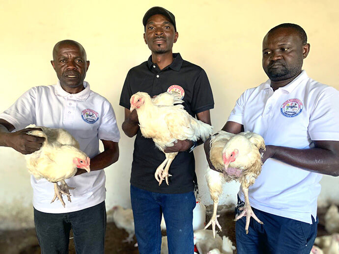 Agronomist Pastor Ndumba Felicien (from left), engineer Sabin Mulang and César Tshibang, financial secretary, hold broiler chickens from the livestock project in Kingandu, Congo. The project, funded by the Yambasu Agriculture Initiative, aims to boost poultry production to help communities achieve food self-sufficiency. Photo by Christian Kasweka, UM News.