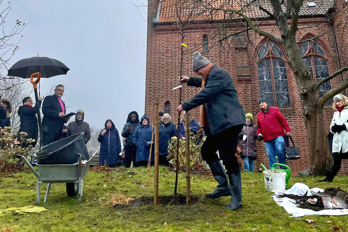 Peter Krüger plants an apple tree at the Evangelical Lutheran Church of St. Jürgen, where the United Methodist congretation in Flensburg, Germany, meets. The tree planting is part of the “Hope on the Way” campaign initiated by United Methdodist Bishop Werner Philipp (standing at left), who leads the Germany Regional Conference. Photo by Isabel Philipp. 