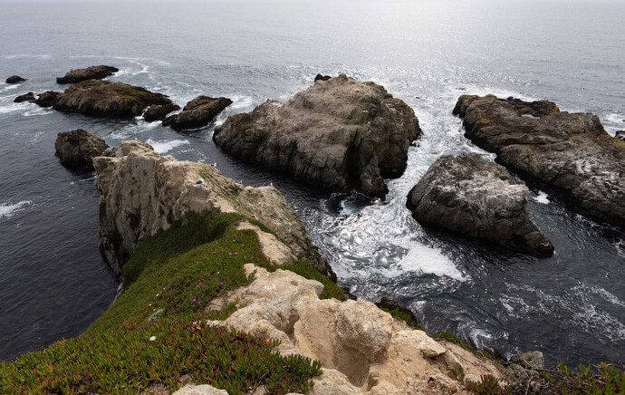 The Sacred Ground app describes Bodega head as “a prime viewing spot for migrating California gray whales, but there are breathtaking views no matter what the weather or season.” 