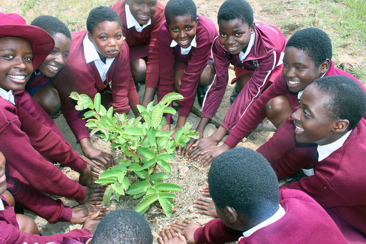 Students at The United Methodist Church’s Hanwa Mission Secondary School in Hanwa, Zimbabwe, gather around a guava tree they planted at the school. The tree-planting initiative, funded by the United Methodist Board of Church and Society, promotes creation care and practical learning. Photo by Kudzai Chingwe, UM News. 
