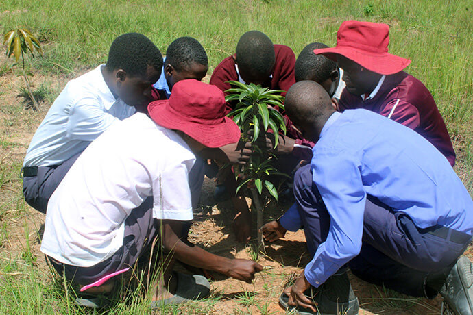 Des élèves prient devant un manguier qu'ils ont planté à l'école secondaire Hanwa Mission de l'Église méthodiste unie, à Hanwa, au Zimbabwe. Photo de Kudzai Chingwe, UM News.