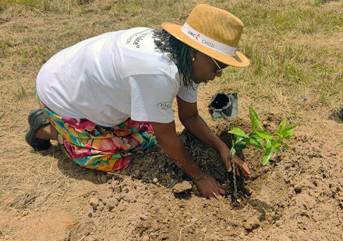Tendai Rebecca Gurupira, qui coordonne le ministère méthodiste uni auprès des femmes, des enfants et des jeunes au Zimbabwe, plante un arbre à la mission Hanwa de l'Église. Elle a déclaré que cette initiative contribuait à la fois à la protection de l'environnement et à l'esprit communautaire. Photo du révérend Taurai Emmanuel Maforo, UM News.